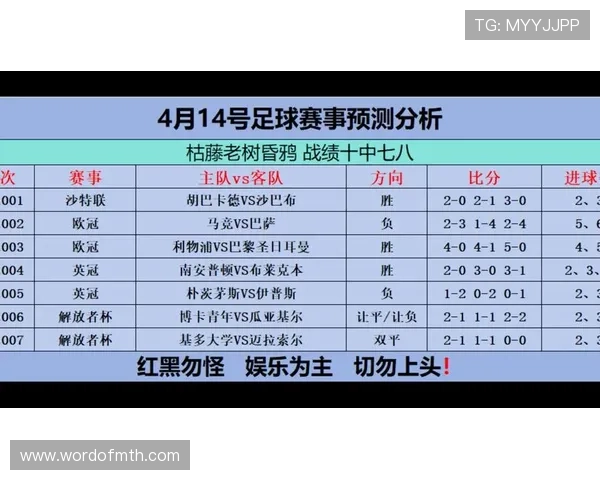 迈博体育最新资讯：2024年体育赛事预测与专业分析报告